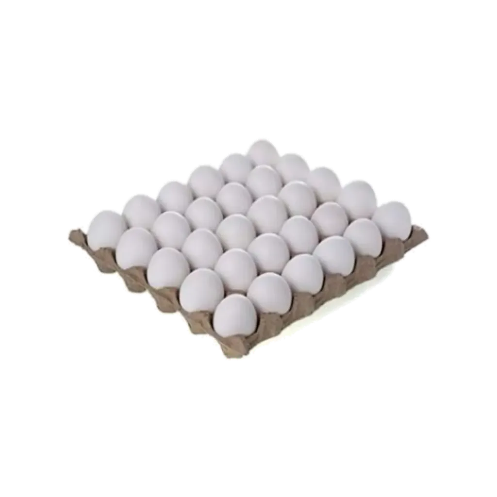 AL BUSTAN EGG 30PCS