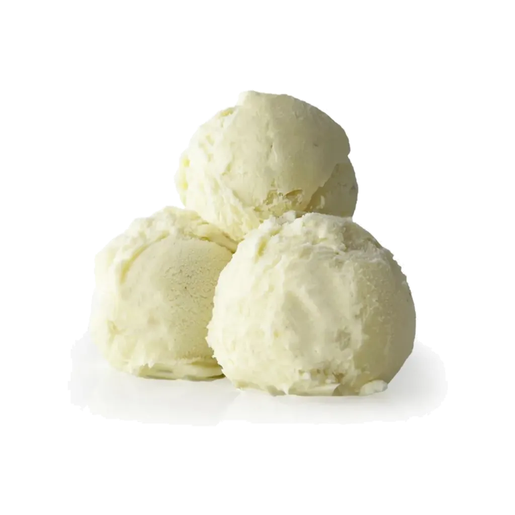 PRIMOGELATO ICE CREAM 2L