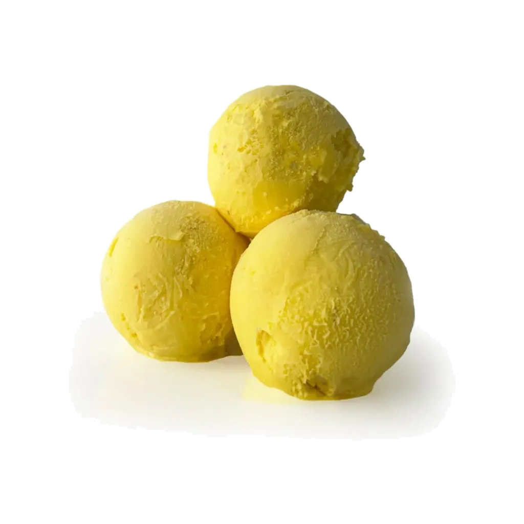 PRIMOGELATO ICE CREAM 2L