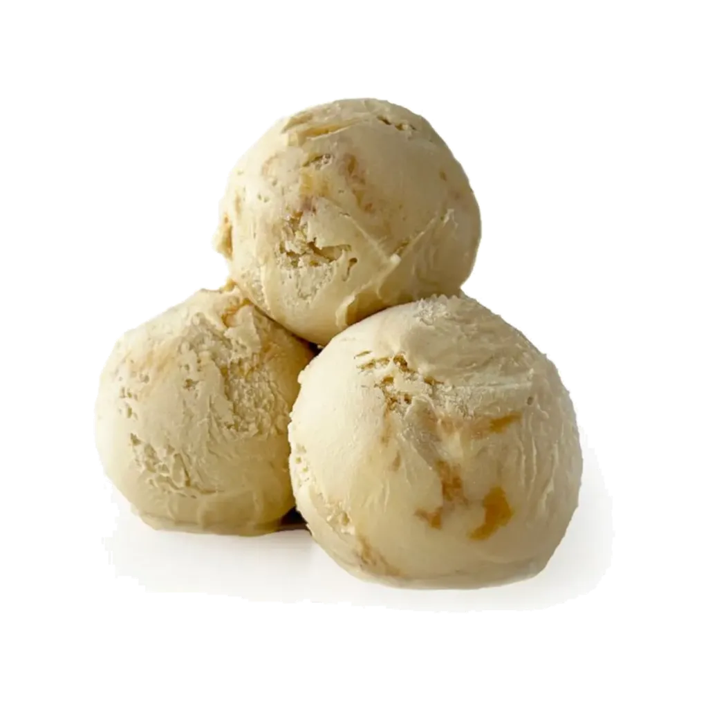 PRIMOGELATO ICE CREAM 2L