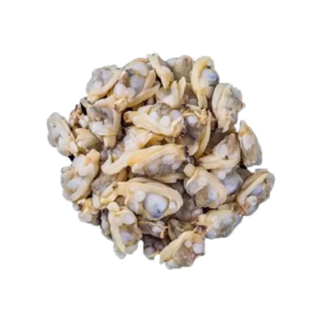 GSF IQF MUSSEL MEAT 2KG
